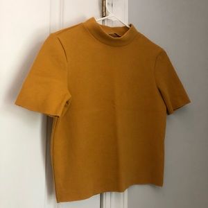 Zara Thick Short Sleeve Top